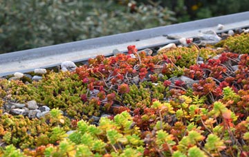 the cost of Edzell green roof installation